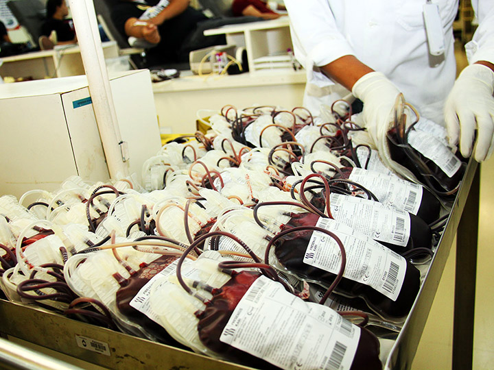 来自Sobrevivência的照片 - 捐赠血液包装在一个容器中，由实验室